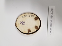 0000-0603-TEK b.jpg; 0000-0603-TEK/OB; Miniatuurportret van Mr. J.P.R. Tak van Poortvliet; waterverf